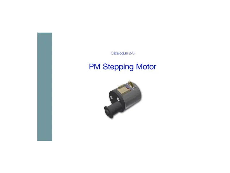 pm stepping motor